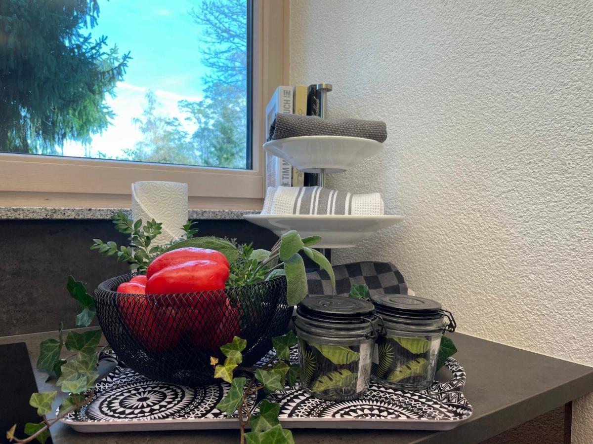 Limes Apartment -Uebernachten Am Limes- Rainau المظهر الخارجي الصورة